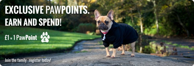 dog-clothing-pawpoint