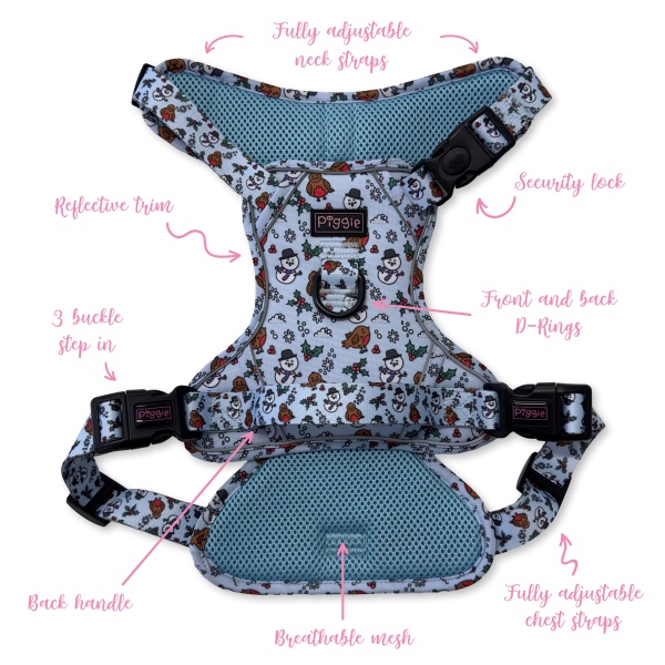 Mr Robin Explorer Dog Harness